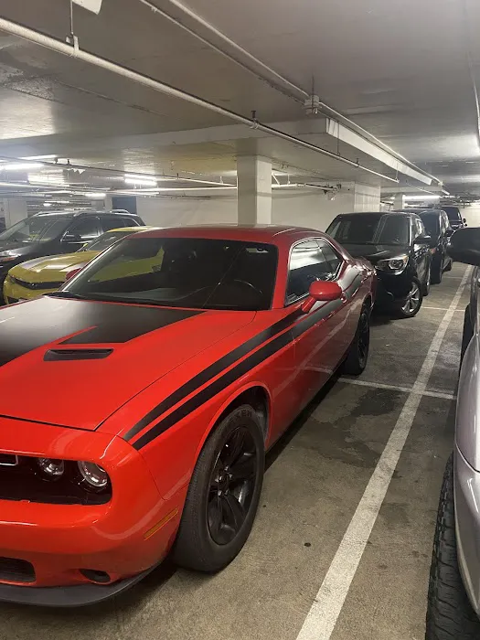 Malibu Car Rental LLC Picture 4