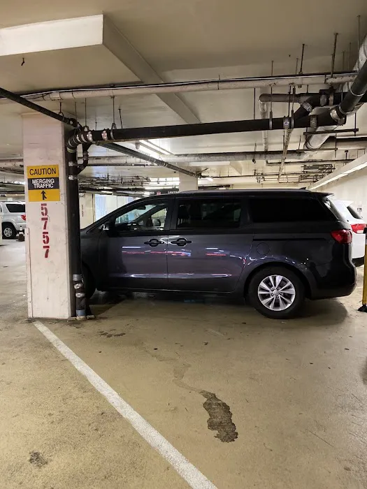 Malibu Car Rental LLC Picture 2