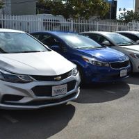 Avis Car Rental ico