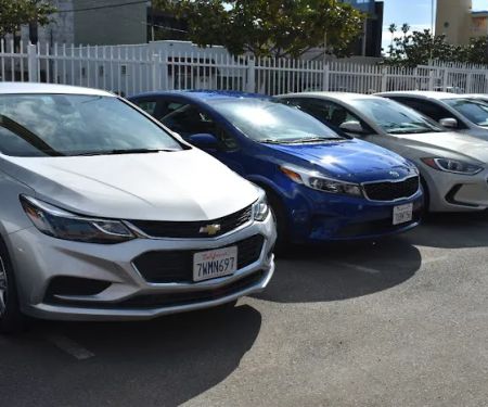 Avis Car Rental