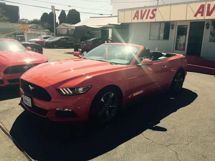 Avis Car Rental Picture 6