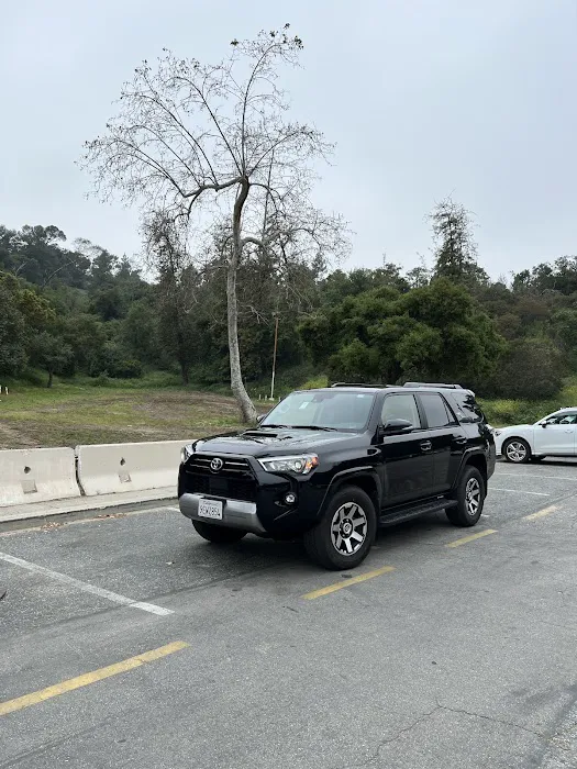 Budget Car Rental Picture 3