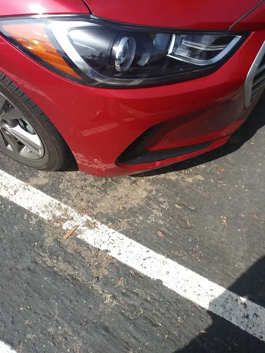 Avis Car Rental Picture 1