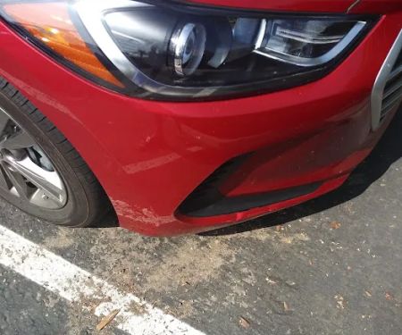 Avis Car Rental