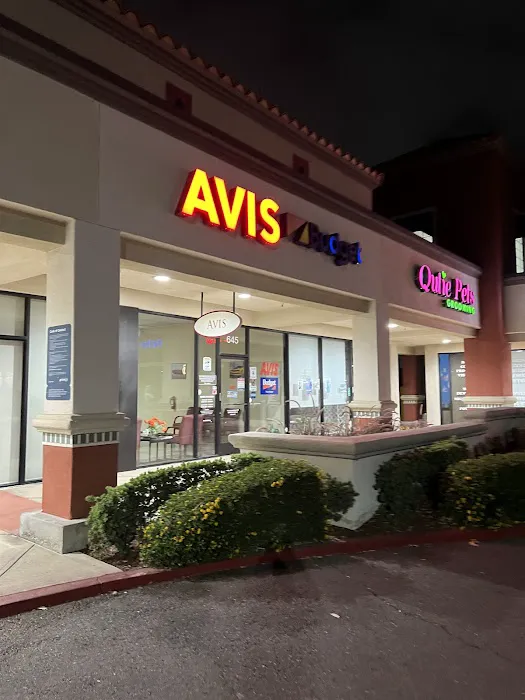 Avis Car Rental Picture 3