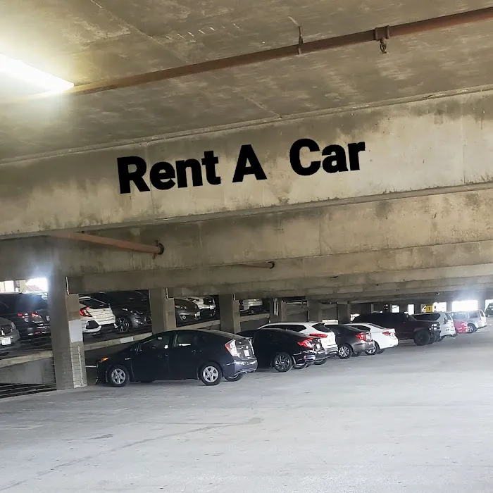 L7 Rental Cars Picture 8