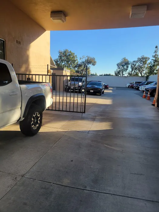Budget Car Rental Picture 4
