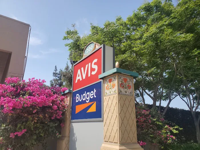 Avis Car Rental Picture 3