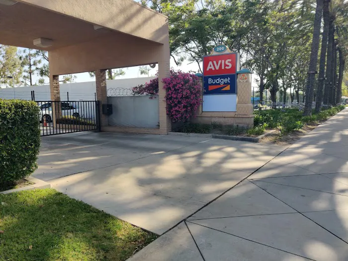 Avis Car Rental Picture 9