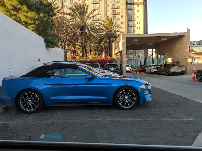 Avis Car Rental Picture 8