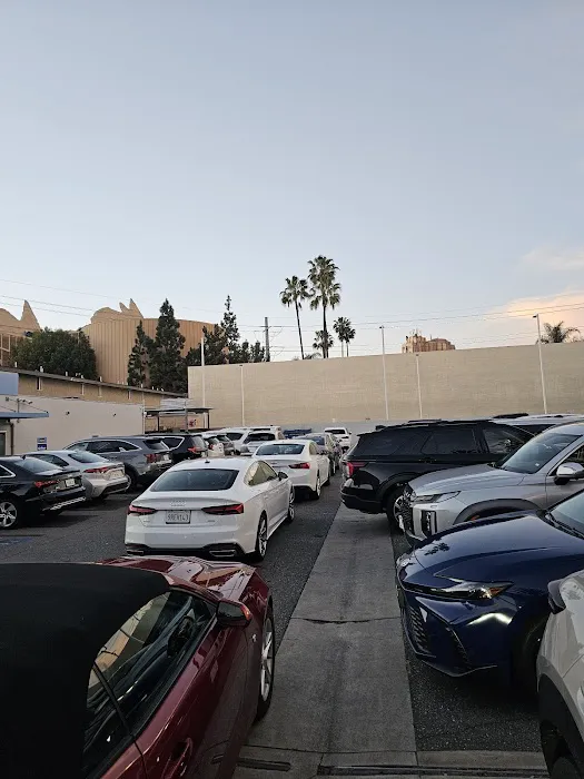 Alamo Rent A Car Picture 9