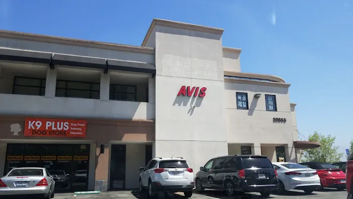 Avis Car Rental Picture 5