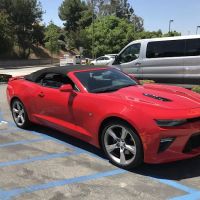 Avis Car Rental ico