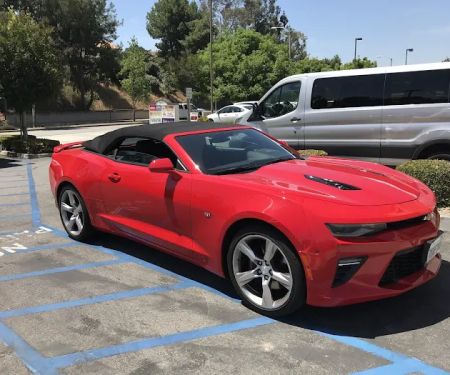 Avis Car Rental
