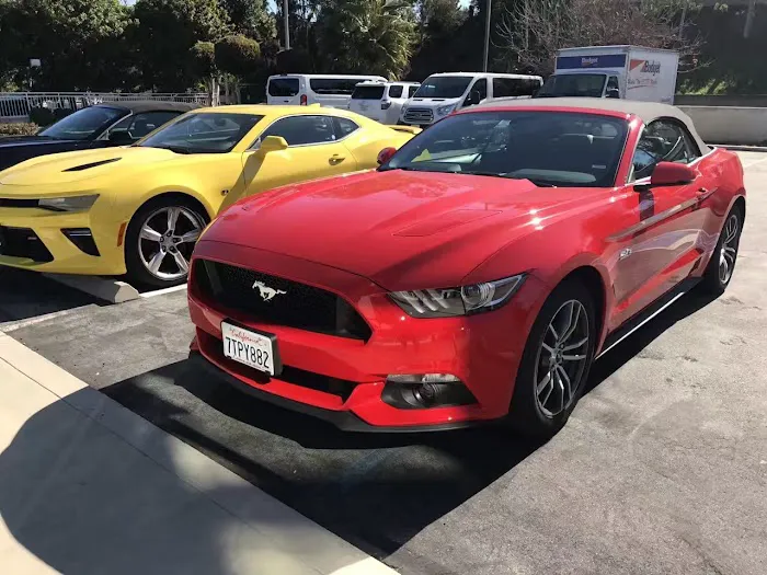 Avis Car Rental Picture 6
