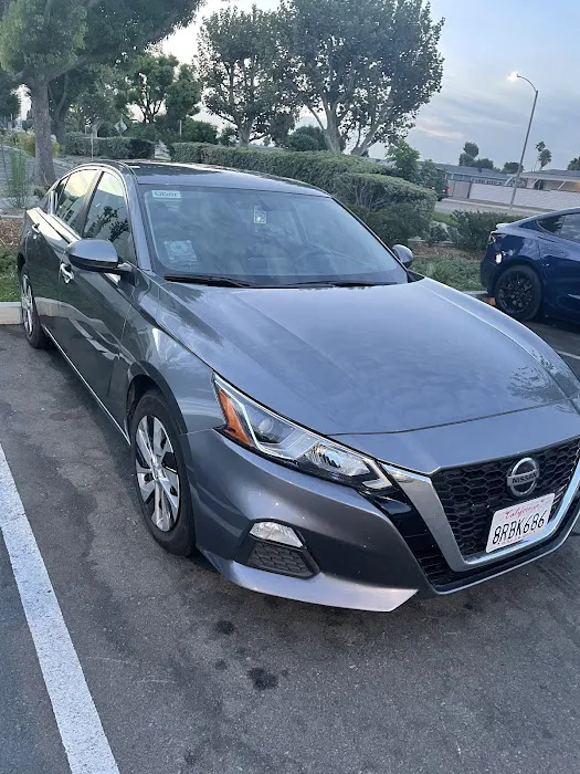 Avis Car Rental Picture 7