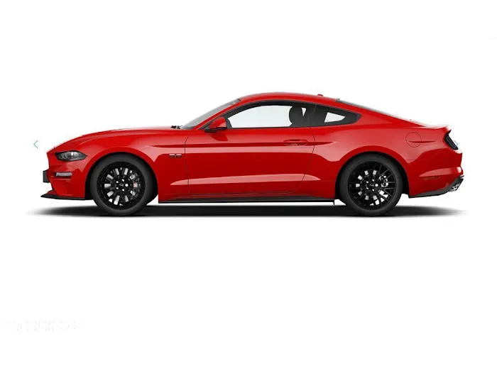 PiggyCars Rental Picture 3