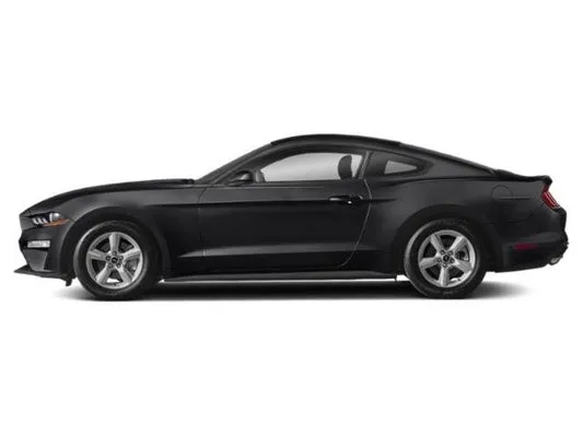 PiggyCars Rental Picture 5