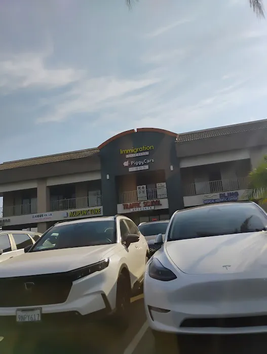 PiggyCars Rental Picture 4