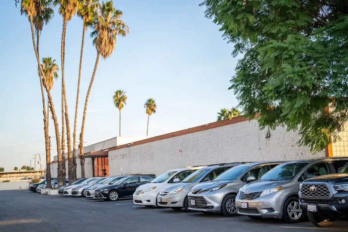 Fat Uncle Car Rental Picture 1