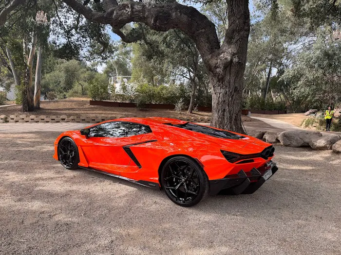 Kavalli Exotic Car Rentals Picture 8