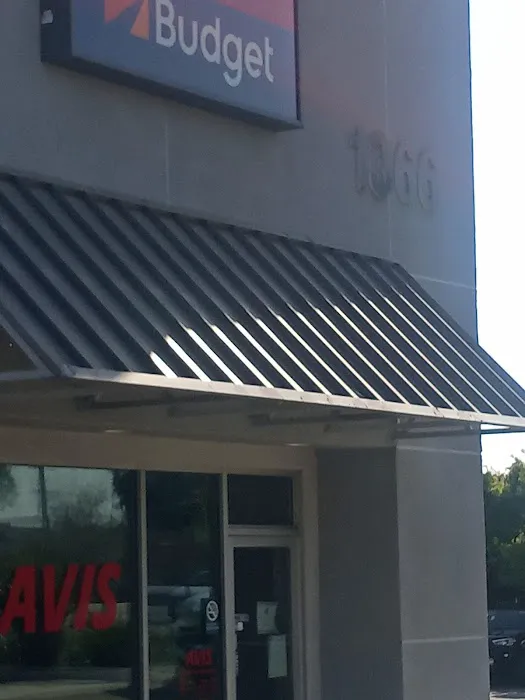 Avis Car Rental Picture 3
