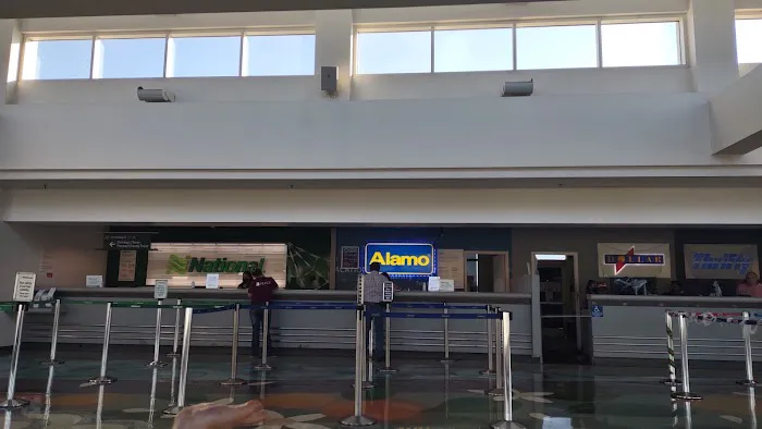 Alamo Rent A Car Picture 5