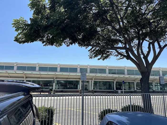 Alamo Rent A Car Picture 8