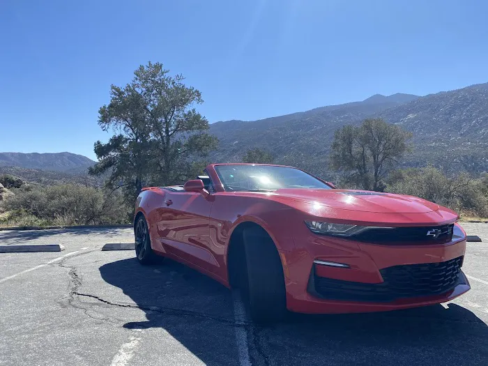 Alamo Rent A Car Picture 3