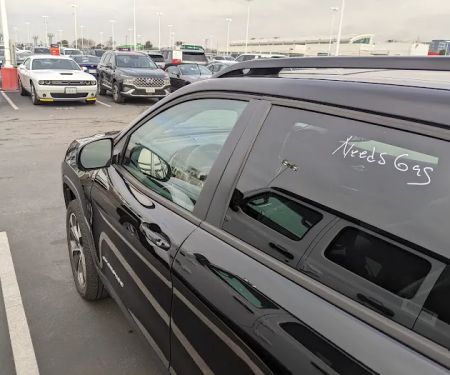 Avis Car Rental