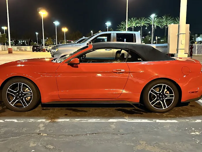 Avis Car Rental Picture 4