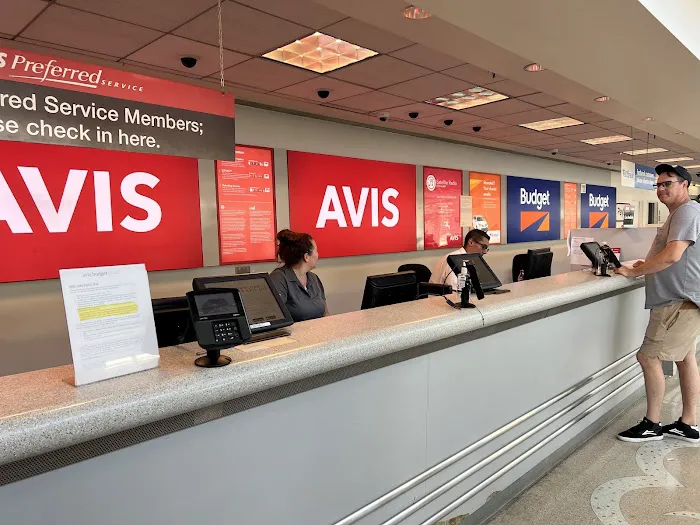 Avis Car Rental Picture 8