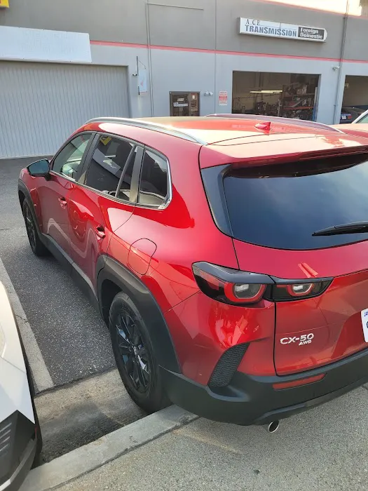 Avis Car Rental Picture 9