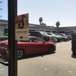 Avis Car Rental