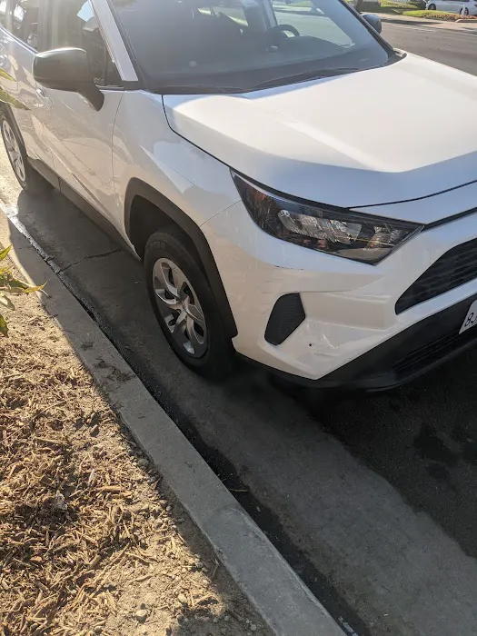 Avis Car Rental Picture 7