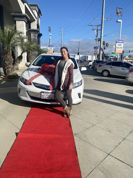 Budget Car Rental Picture 3