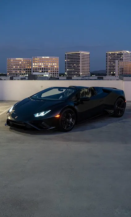 Hexotic Luxury Car Rental Picture 4