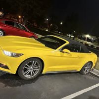 Stop-N-Go Rent-A-Car ico