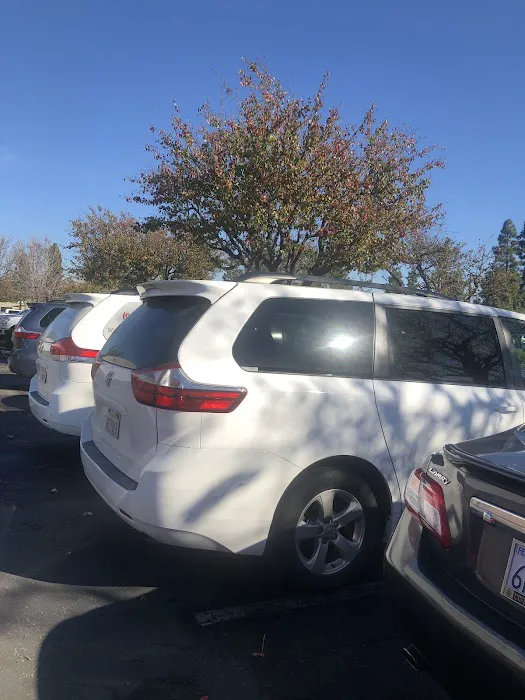 Stop-N-Go Rent-A-Car Picture 7