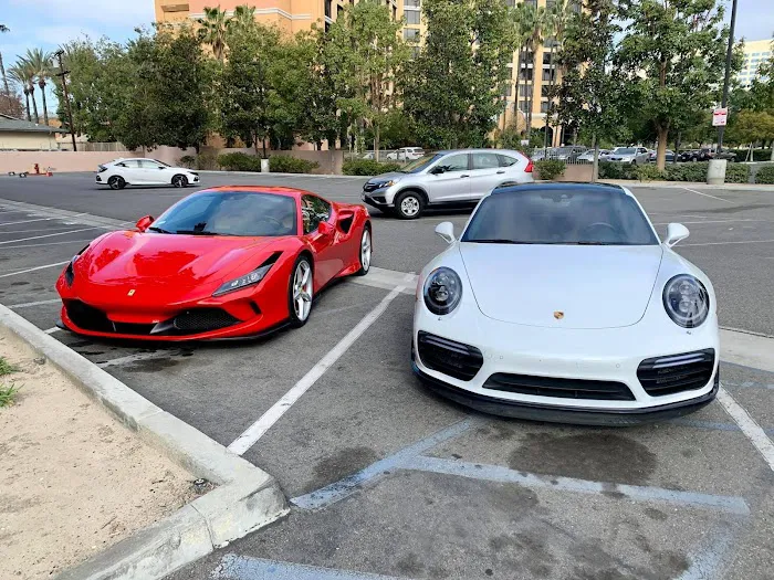 LUX Rental Picture 10