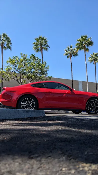 Avis Car Rental Picture 2