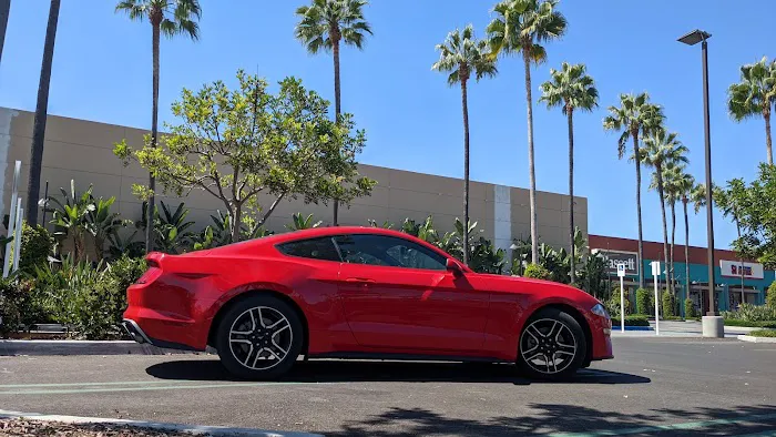 Avis Car Rental Picture 1