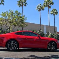 Avis Car Rental ico