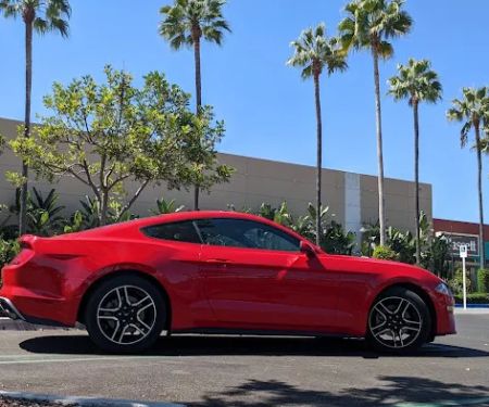 Avis Car Rental