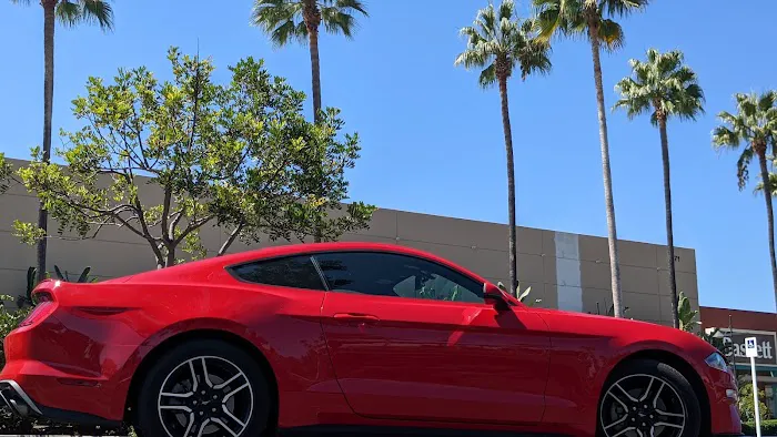 Avis Car Rental Picture 6