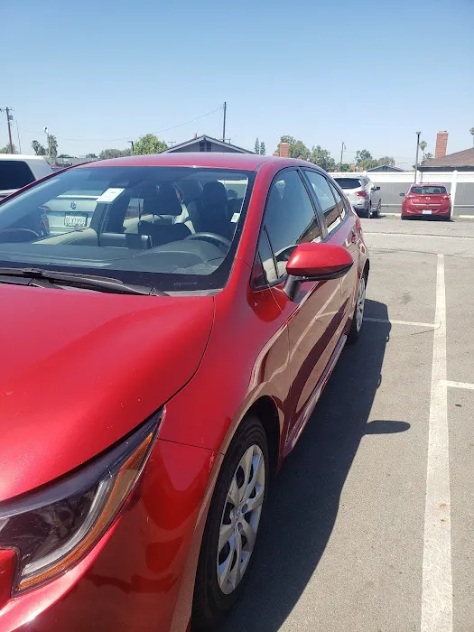 Avis Car Rental Picture 8