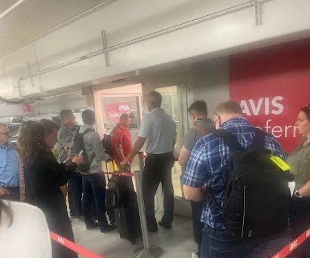 Avis Car Rental