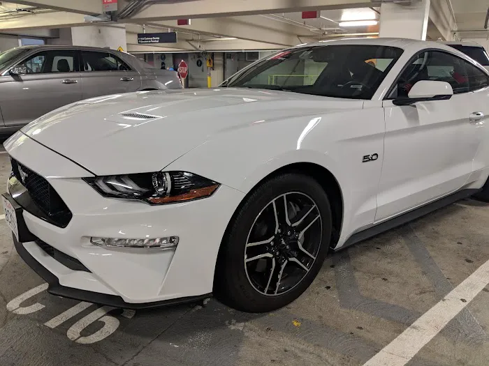 Avis Car Rental Picture 7