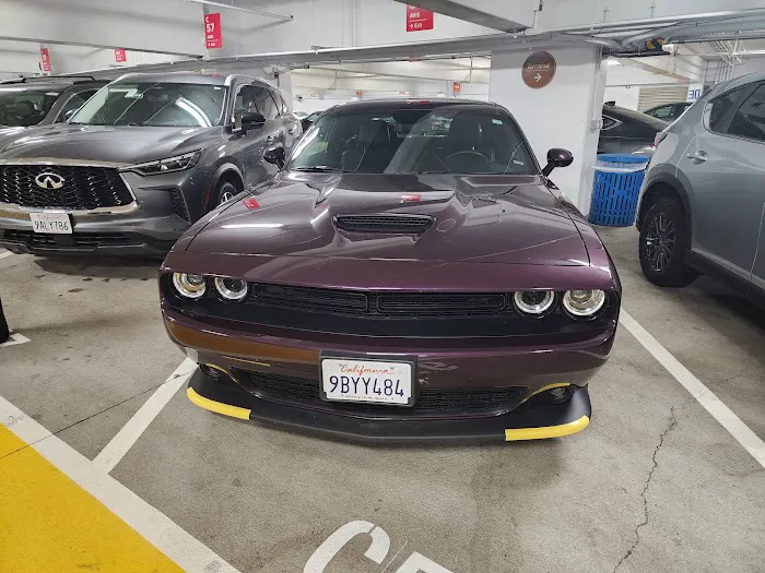 Avis Car Rental Picture 10