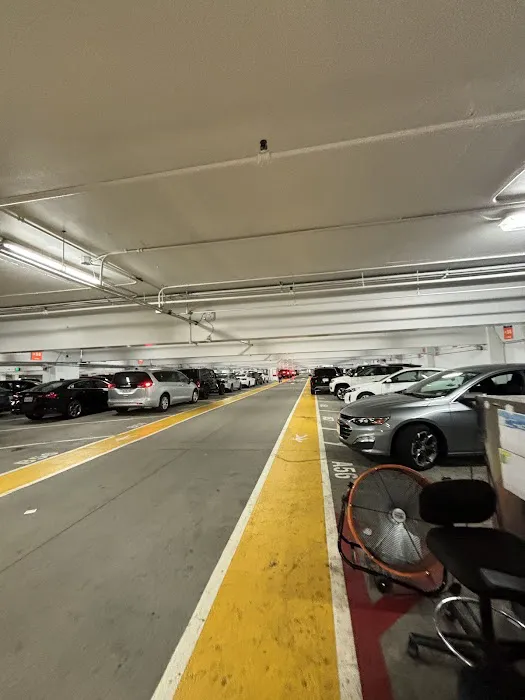 Avis Car Rental Picture 9